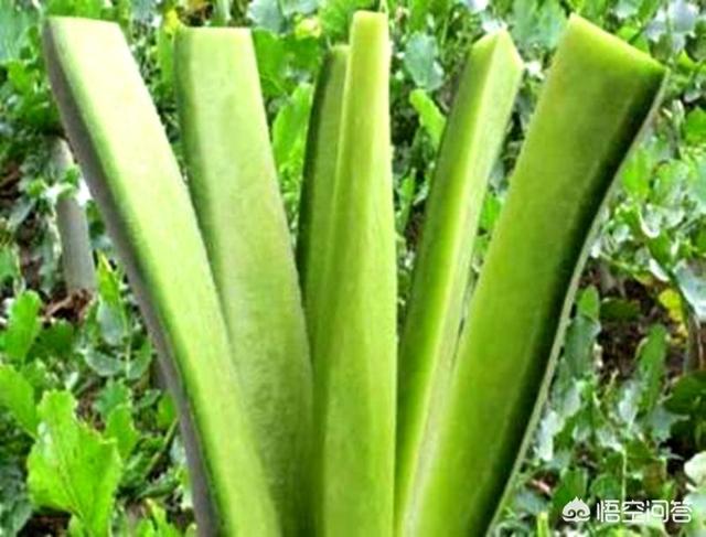 冬天吃什么水果比較好呢？